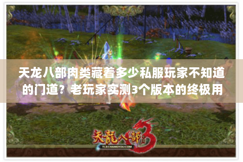 天龙八部肉类藏着多少私服玩家不知道的门道?老玩家实测3个版本的终极用法 天龙八部肉类藏着多少私服玩家不知道的门道?老玩家实测3个版本的终极用法