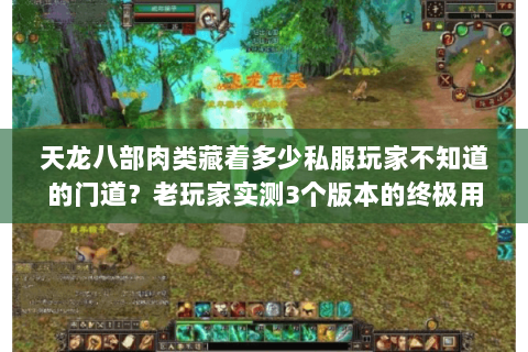 天龙八部肉类藏着多少私服玩家不知道的门道?老玩家实测3个版本的终极用法 天龙八部肉类藏着多少私服玩家不知道的门道?老玩家实测3个版本的终极用法