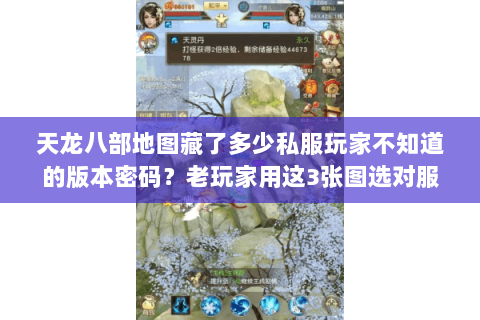 天龙八部地图藏了多少私服玩家不知道的版本密码？老玩家用这3张图选对服