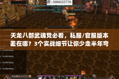 天龙八部武魂党必看,私服/官服版本差在哪?3个实战细节让你少走半年弯路 天龙八部武魂党必看,私服/官服版本差在哪?3个实战细节让你少走半年弯路