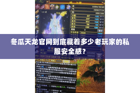 冬瓜天龙官网到底藏着多少老玩家的私服安全感？