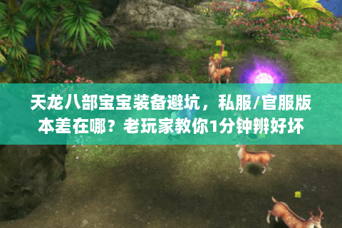 天龙八部宝宝装备避坑，私服/官服版本差在哪？老玩家教你1分钟辨好坏
