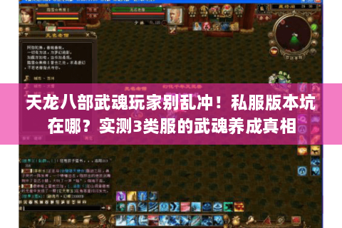 天龙八部武魂玩家别乱冲！私服版本坑在哪？实测3类服的武魂养成真相