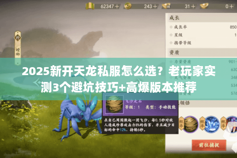 2025新开天龙私服怎么选？老玩家实测3个避坑技巧+高爆版本推荐