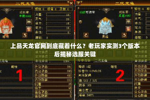 上品天龙官网到底藏着什么？老玩家实测3个版本后揭秘选服关键