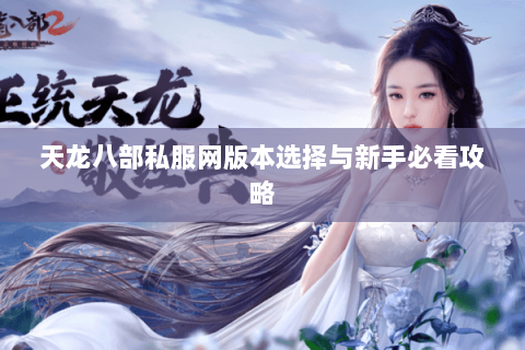 天龙八部私服网版本选择与新手必看攻略 天龙八部私服网版本选择与新手必看攻略