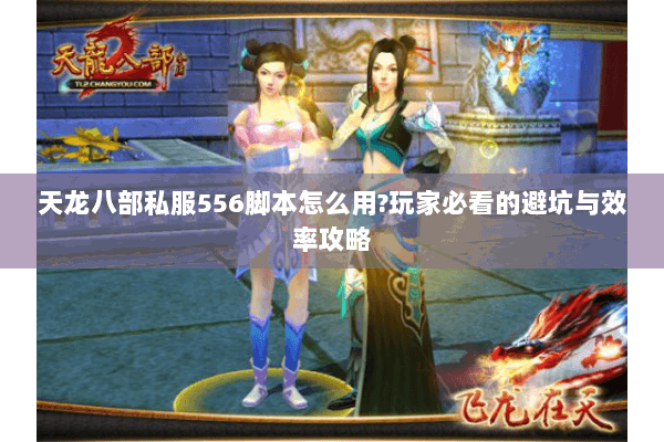 天龙八部私服556脚本怎么用?玩家必看的避坑与效率攻略