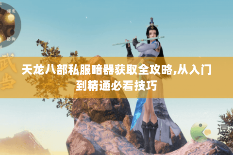 天龙八部私服暗器获取全攻略,从入门到精通必看技巧