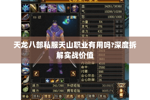 天龙八部私服天山职业有用吗?深度拆解实战价值 天龙八部私服天山职业有用吗?深度拆解实战价值