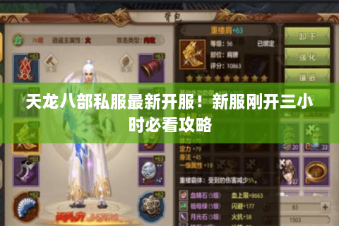 天龙八部私服最新开服！新服刚开三小时必看攻略