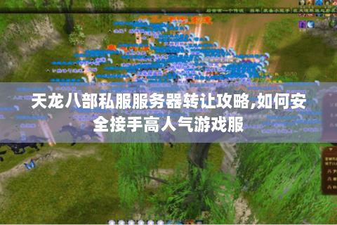 天龙八部私服服务器转让攻略,如何安全接手高人气游戏服