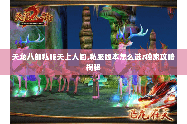 天龙八部私服天上人间,私服版本怎么选?独家攻略揭秘 天龙八部私服天上人间,私服版本怎么选?独家攻略揭秘