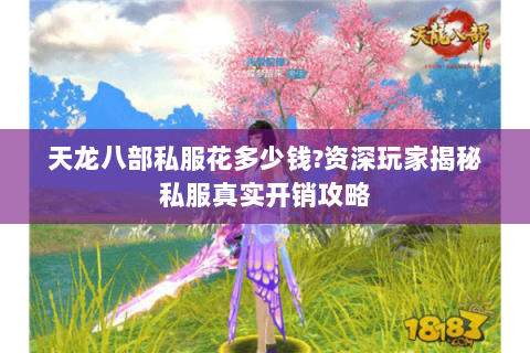 天龙八部私服花多少钱?资深玩家揭秘私服真实开销攻略