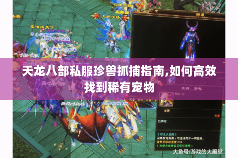 天龙八部私服珍兽抓捕指南,如何高效找到稀有宠物