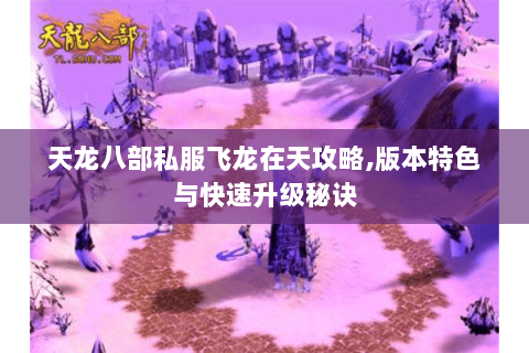 天龙八部私服飞龙在天攻略,版本特色与快速升级秘诀