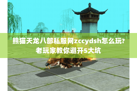 熊猫天龙八部私服网zccydsh怎么玩?老玩家教你避开5大坑