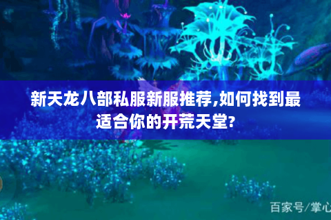 新天龙八部私服新服推荐,如何找到最适合你的开荒天堂? 新天龙八部私服新服推荐,如何找到最适合你的开荒天堂?