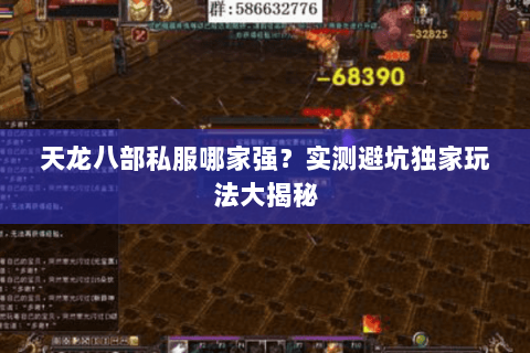 天龙八部私服哪家强？实测避坑独家玩法大揭秘