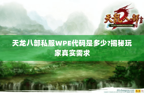 天龙八部私服WPE代码是多少?揭秘玩家真实需求
