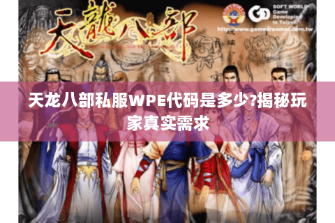 天龙八部私服WPE代码是多少?揭秘玩家真实需求