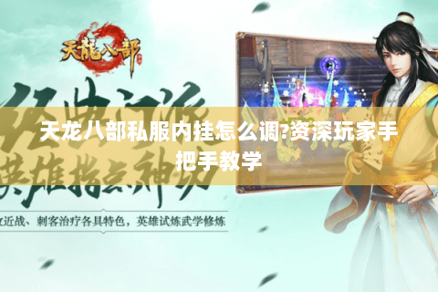 天龙八部私服内挂怎么调?资深玩家手把手教学 天龙八部私服内挂怎么调?资深玩家手把手教学