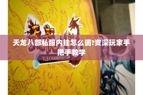 天龙八部私服内挂怎么调?资深玩家手把手教学 天龙八部私服内挂怎么调?资深玩家手把手教学