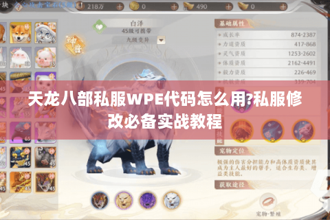 天龙八部私服WPE代码怎么用?私服修改必备实战教程 天龙八部私服WPE代码怎么用?私服修改必备实战教程