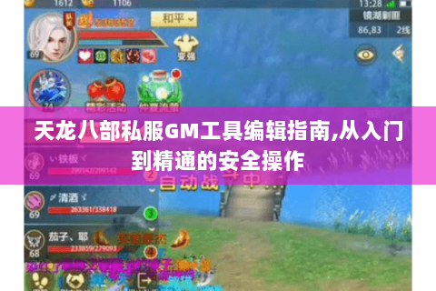 天龙八部私服GM工具编辑指南,从入门到精通的安全操作