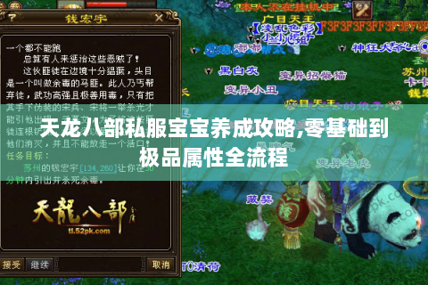 天龙八部私服宝宝养成攻略,零基础到极品属性全流程