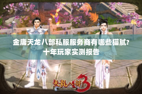 金庸天龙八部私服服务商有哪些猫腻?十年玩家实测报告 金庸天龙八部私服服务商有哪些猫腻?十年玩家实测报告