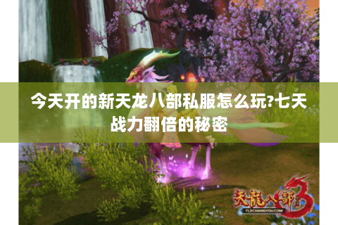 今天开的新天龙八部私服怎么玩?七天战力翻倍的秘密 今天开的新天龙八部私服怎么玩?七天战力翻倍的秘密