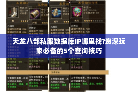 天龙八部私服数据库IP哪里找?资深玩家必备的5个查询技巧