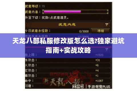 天龙八部私服修改版怎么选?独家避坑指南+实战攻略