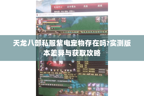 天龙八部私服紫电宠物存在吗?实测版本差异与获取攻略