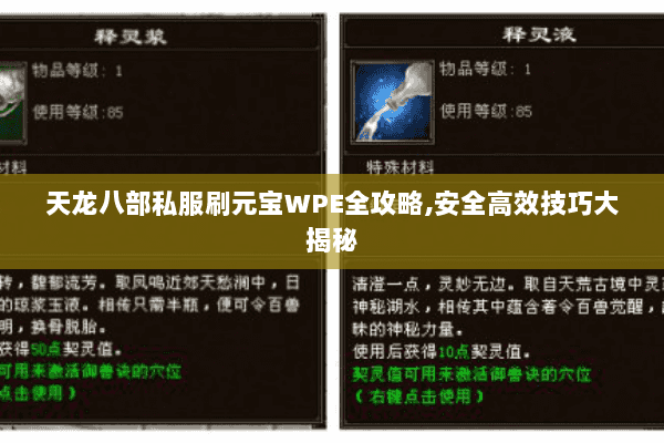 天龙八部私服刷元宝WPE全攻略,安全高效技巧大揭秘 天龙八部私服刷元宝WPE全攻略,安全高效技巧大揭秘