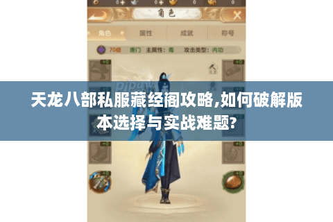 天龙八部私服藏经阁攻略,如何破解版本选择与实战难题?
