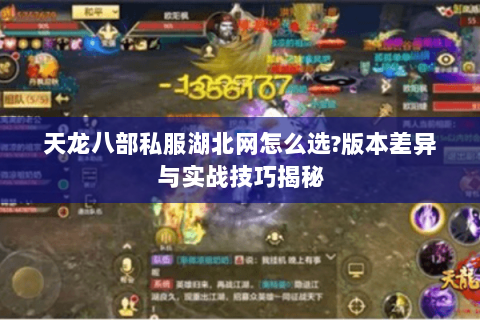 天龙八部私服湖北网怎么选?版本差异与实战技巧揭秘 天龙八部私服湖北网怎么选?版本差异与实战技巧揭秘