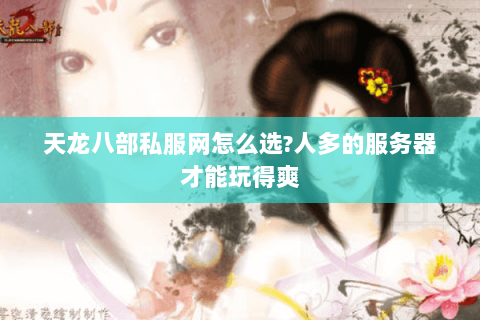 天龙八部私服网怎么选?人多的服务器才能玩得爽 天龙八部私服网怎么选?人多的服务器才能玩得爽