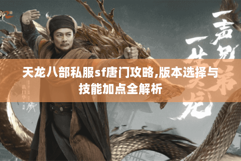 天龙八部私服sf唐门攻略,版本选择与技能加点全解析 天龙八部私服sf唐门攻略,版本选择与技能加点全解析