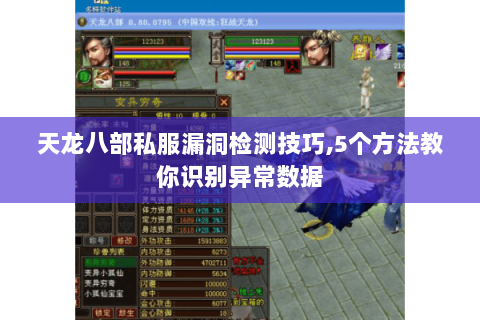 天龙八部私服漏洞检测技巧,5个方法教你识别异常数据