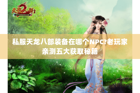 私服天龙八部装备在哪个NPC?老玩家亲测五大获取秘籍