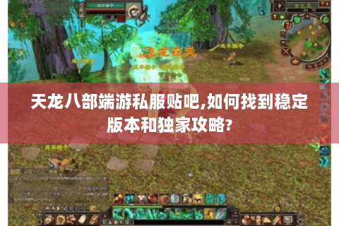 天龙八部端游私服贴吧,如何找到稳定版本和独家攻略?