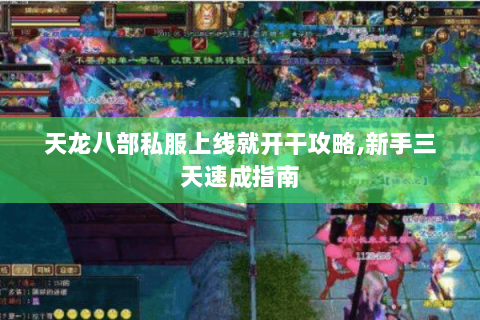 天龙八部私服上线就开干攻略,新手三天速成指南