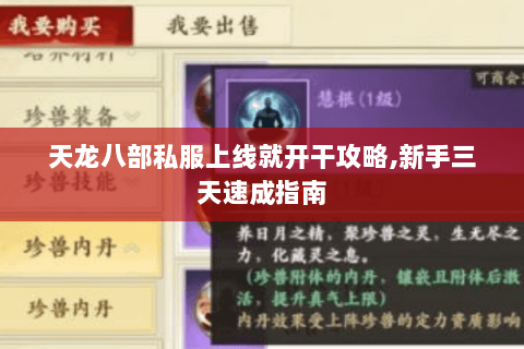 天龙八部私服上线就开干攻略,新手三天速成指南