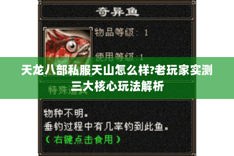 天龙八部私服天山怎么样?老玩家实测三大核心玩法解析