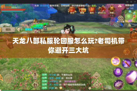 天龙八部私服轮回服怎么玩?老司机带你避开三大坑 天龙八部私服轮回服怎么玩?老司机带你避开三大坑