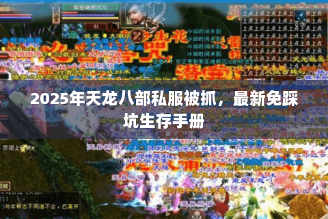2025年天龙八部私服被抓,最新免踩坑生存手册 2025年天龙八部私服被抓,最新免踩坑生存手册