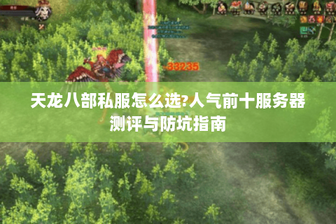 天龙八部私服怎么选?人气前十服务器测评与防坑指南