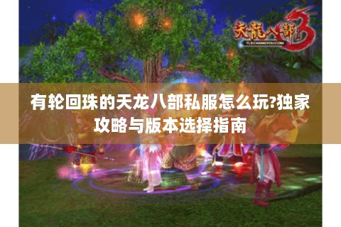 有轮回珠的天龙八部私服怎么玩?独家攻略与版本选择指南 有轮回珠的天龙八部私服怎么玩?独家攻略与版本选择指南