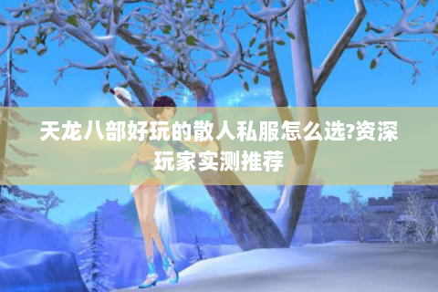 天龙八部好玩的散人私服怎么选?资深玩家实测推荐 天龙八部好玩的散人私服怎么选?资深玩家实测推荐